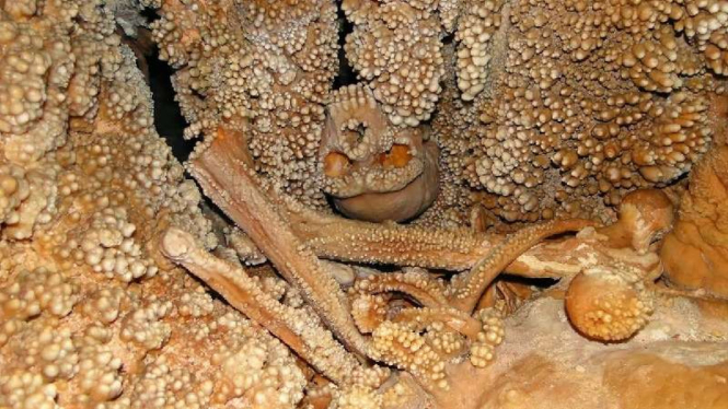 Fosil manusia purba Alturan Man di gua di Italia