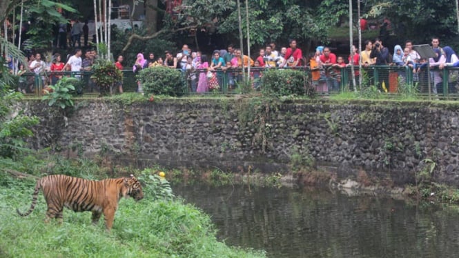 Warga Padati Ragunan