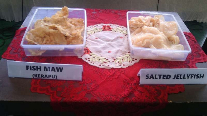 Ekpor ikan ilegal Fish maw atau kerapu