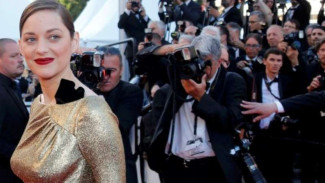 Isu Selingkuh dengan Brad Pitt, Marion Cotillard Hamil