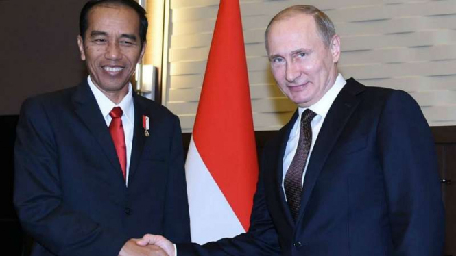 Pertemuan bilateral Presiden Joko Widodo dengan Presiden Vladimir Putin