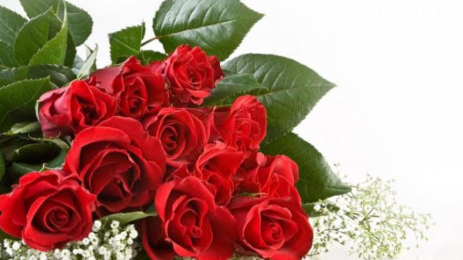 Asal Usul Bunga Mawar Jadi Simbol Cinta Viva
