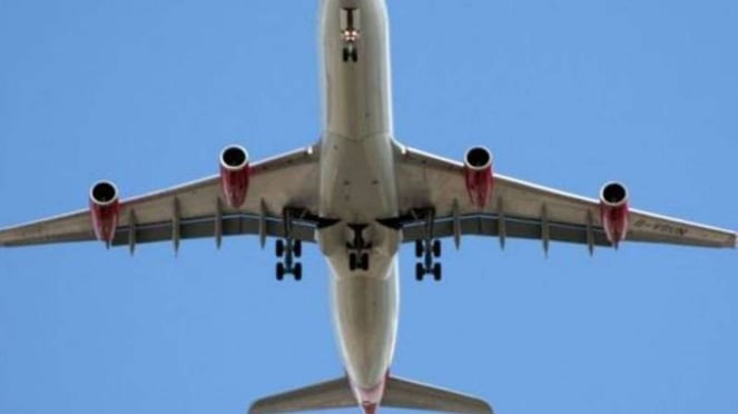 Ilustración del vuelo.