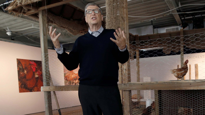 Bill Gates Bagikan 100.000 anak ayam