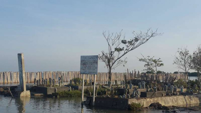 Kondisi pemakaman umum di Tambaklorok Semarang yang tergerus air laut. Setidaknya sudah separuh makam kini hilang akibat bencana air rob, Senin (13/6/2016)