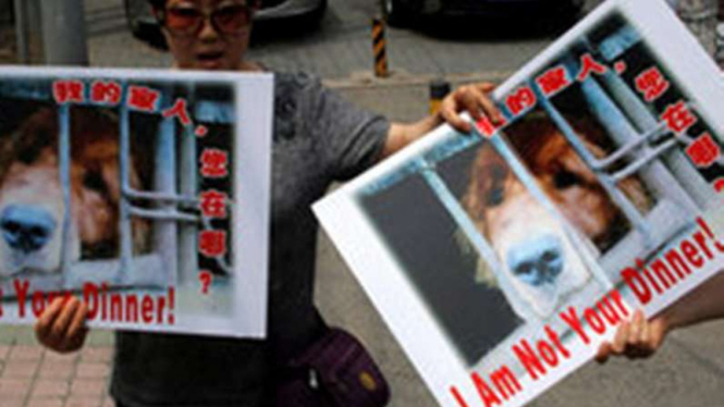 Seorang aktifis penyayang binatang menolak Festival Yulin di China.