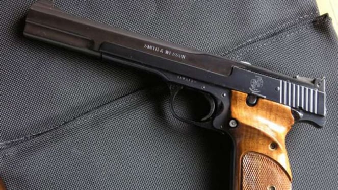 Pistol/Ilustrasi.