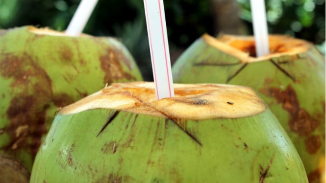 kelapa 