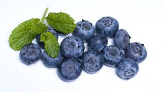 Blueberry Mampu Tingkatkan Fungsi Kognitif pada Lansia