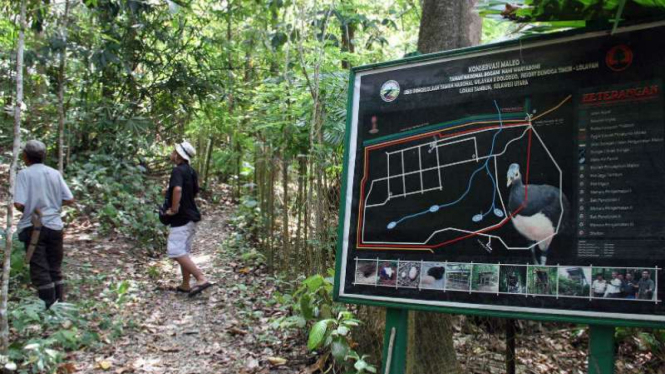 Taman Nasional Bogani Nani Wartabone, di Bolaang Mongondow, Sulawesi Utara