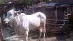 Photo Mini 1