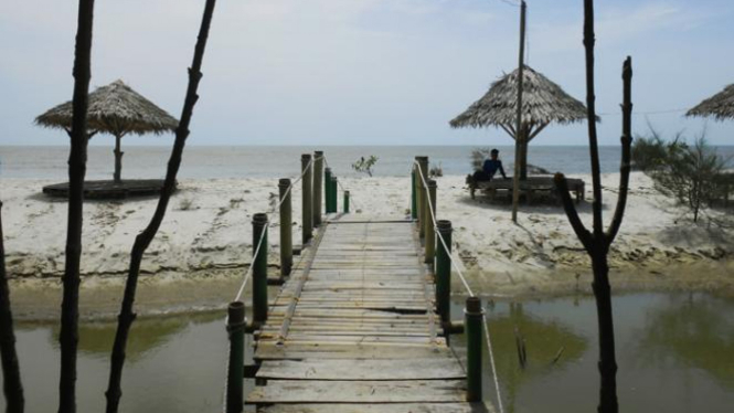 Pantai Mangrove Kampoeng Nipah.