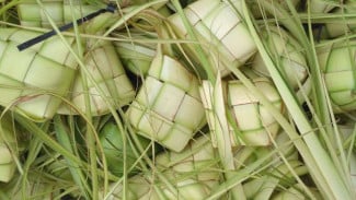 Eksistensi Ketupat di Tengah Arus Modernisasi