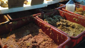 Harga Cabai dan Bawang Meroket, Ibu-ibu Lirik Bumbu Giling