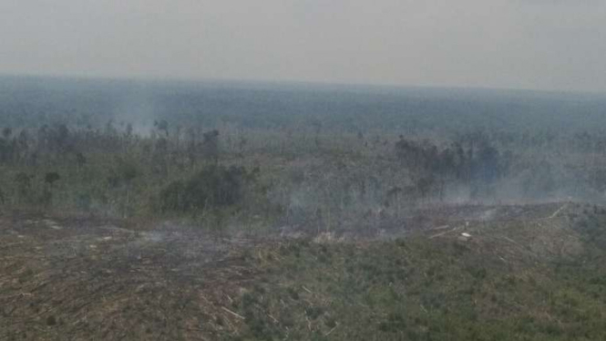Area terbakar di Riau yang harus dipadamkan