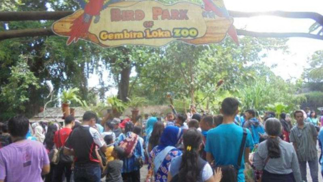 Suasana Kebun Binatang Gembira Loka, Sabtu, 9 Juli 2016.
