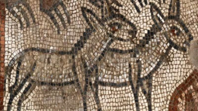 Mozaik kapal Nuh ditemukan di tempat ibadah kuno Yahudi