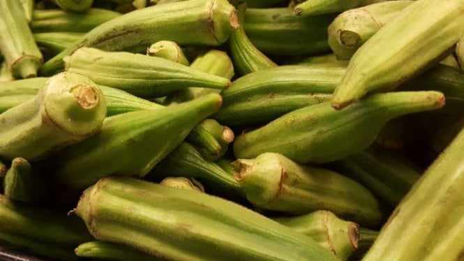 Okra atau gambas