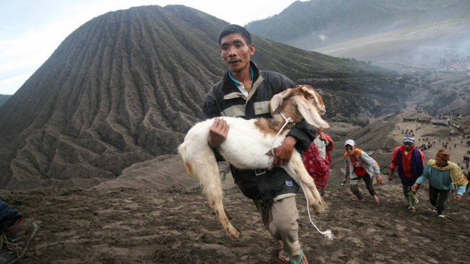 Ilustrasi/Aktivitas warga Bromo saat menggelar ritual Yadnya Kasada Bromo 2016