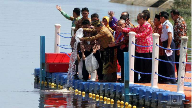 Wapres Jusuf Kalla melepas bibit ikan di Sungai Siak pada Hari Lingkungan Hidup