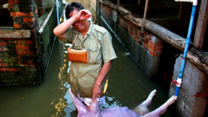 Seorang perempuan menangisi babi piaraannya yang tewas karena banjir.