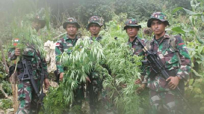 Anggota TNI yang temukan ladang ganja di perbatasan RI.