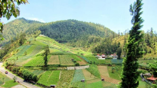 Daripada Diam Termangu Mending Liburan Ke Tawangmangu Viva