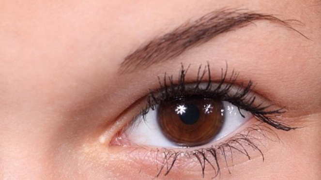 cejas