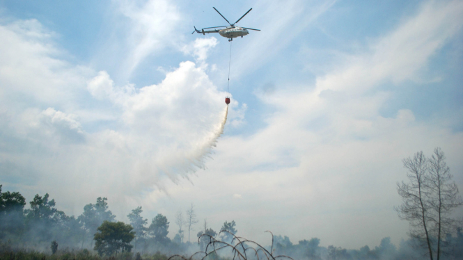 Foto ilustrasi/Suasana saat pemadaman kebakaran lahan dan hutan di Provinsi Riau tahun lalu.