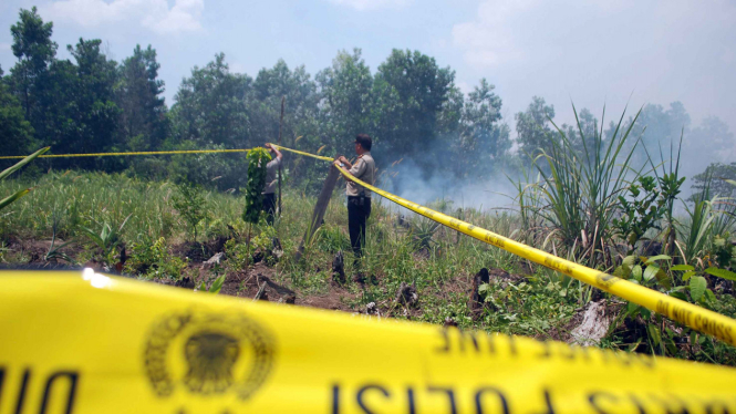 Kebakaran Lahan dan Hutan di Riau/Ilustrasi.