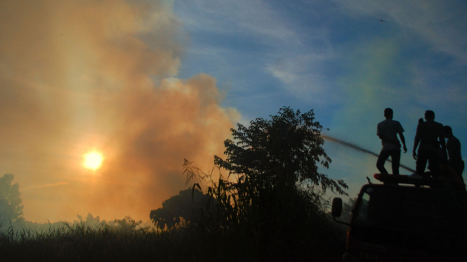 Ilustrasi/Pemadaman kebakaran hutan dan lahan di Provinsi Riau baru-baru ini.