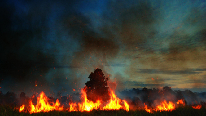 Kebakaran lahan dan hutan di Riau beberapa waktu lampau. 