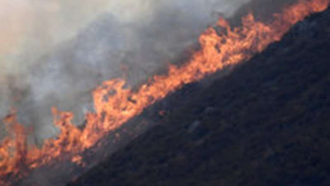 Api yang membakar lahan hutan kering di California, Los Angeles.