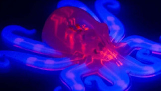 VIDEO: Mengenal Octobot, Robot Gurita yang Lembut