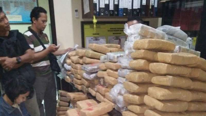 Polisi sita ratusan kilogram ganja kering siap edar 