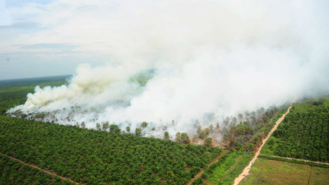 Parahnya Kebakaran Lahan di Kalimantan Barat