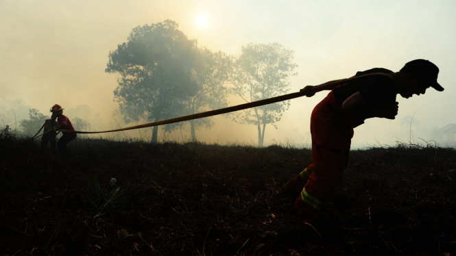 Ilustrasi/Proses pemadaman kebakaran hutan dan lahan di Kalimantan Barat