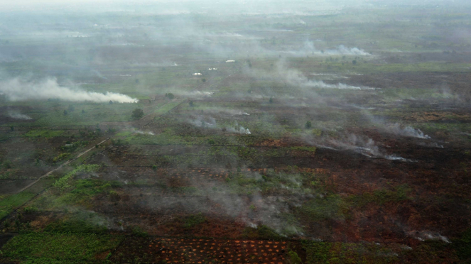 Parahnya Kebakaran Lahan di Kalimantan Barat