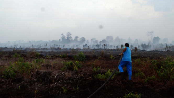 Kualitas Udara di Riau Menurun Akibat Karhutla
