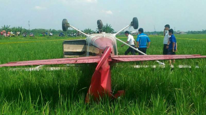 Pesawat latih jatuh di kawasan persawahan Kecamatan Mundu, Kabupaten Cirebon, Jawa Barat, pada Selasa, 30 Agustus 2016.