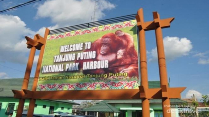 Tanjung Puting