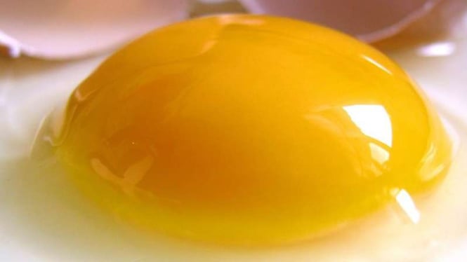 Ilustrasi telur mentah.