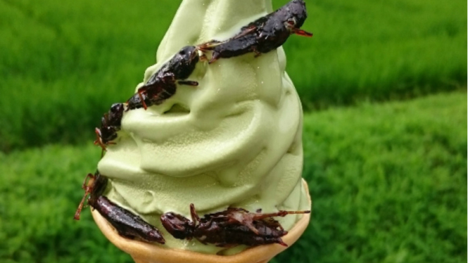 Es krim belalang dan wormwood