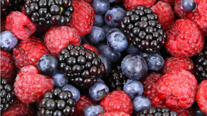 Ilustrasi buah-buahan/beri.
