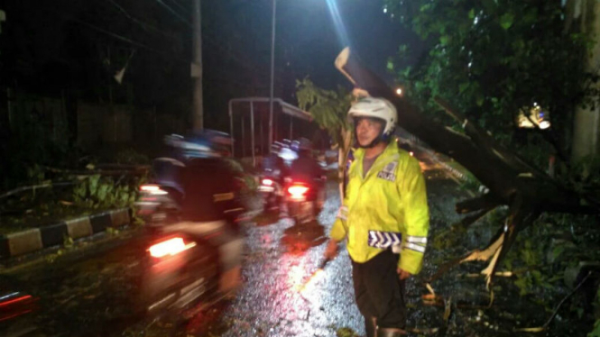 Pohon tumbang di Jagakarsa, Jakar Selatan