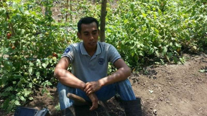 Brigpol Sukmawadi beristirahat di kebun tomat miliknya, Minggu (4/9/2016). Anggota polisi di Polsek Adonara Timur Flores Timur ini memilih menjadi petani usai jam dinas.