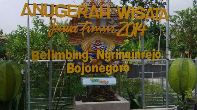Kawasan wisata Belimbing Ngringinrejo, Bojonegoro