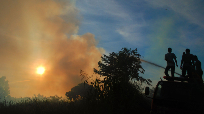 Kebakaran lahan gambut di Desa Kualu, Kampar, Riau. Foto: ANTARA/Rony Muharrman