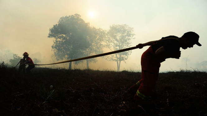Dua anggota Pemadam Kebakaran Panca Bhakti menarik selang air di lokasi lahan yang terbakar di Pontianak, Kalimantan Barat