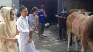 Ayu Ting Ting Beri Nama Ketiga Sapi yang Dikurbankan